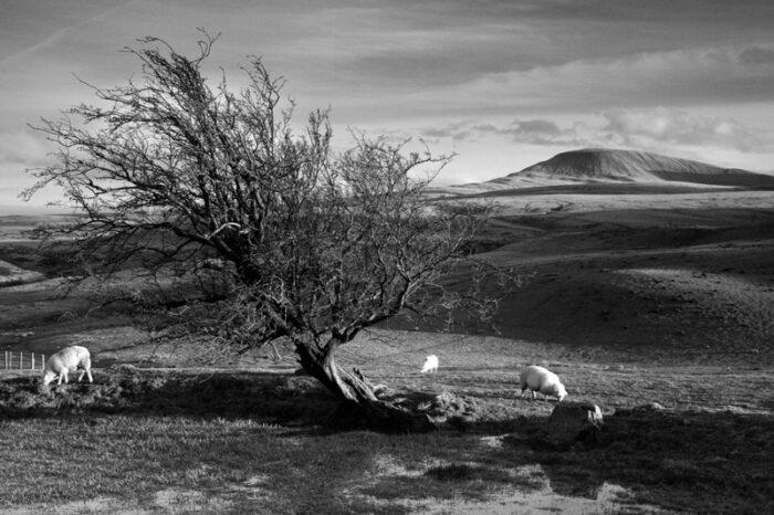 Fan Foel, Black Mountain, Carmarthenshire Wales