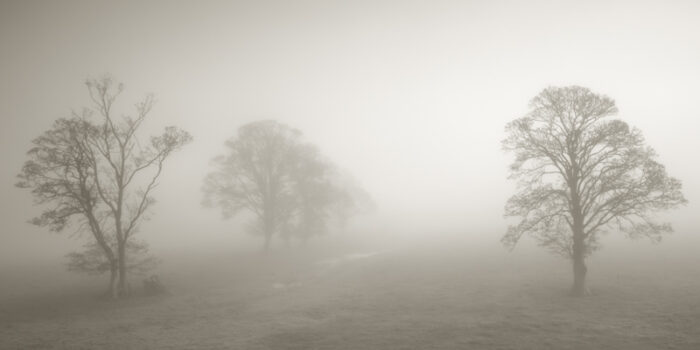 Towy Valley, Carmarthenshire