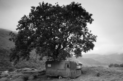 The Caravan