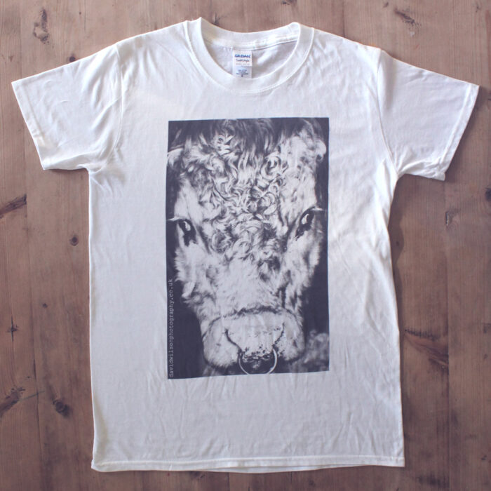David Wilson Bull T-shirt
