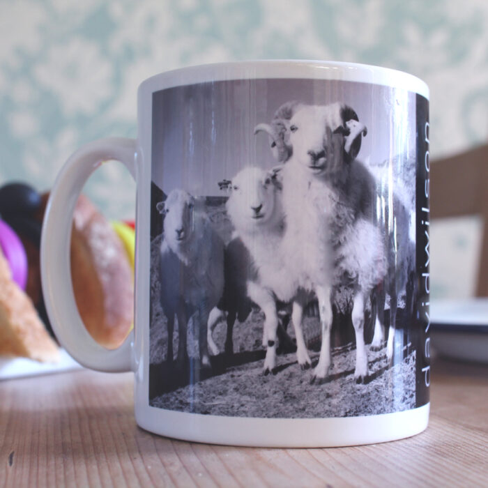 Lambs on a mug