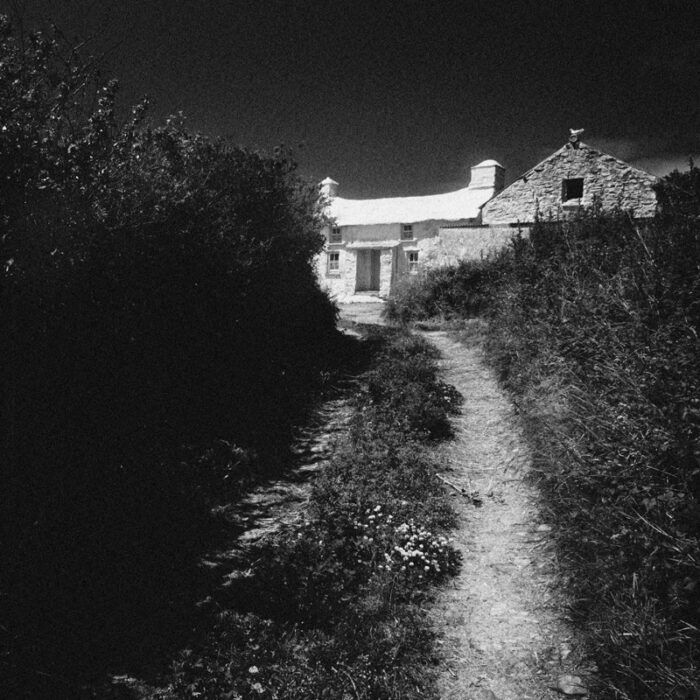 Treleddyd Fawr Cottage