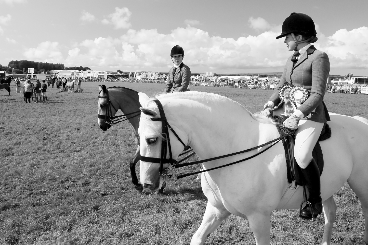 A Year in Pembrokeshire - Image 4