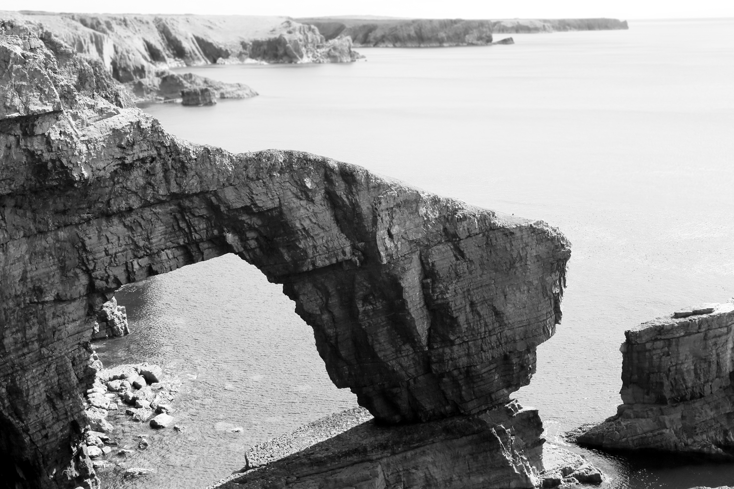 A Year in Pembrokeshire - Image 5