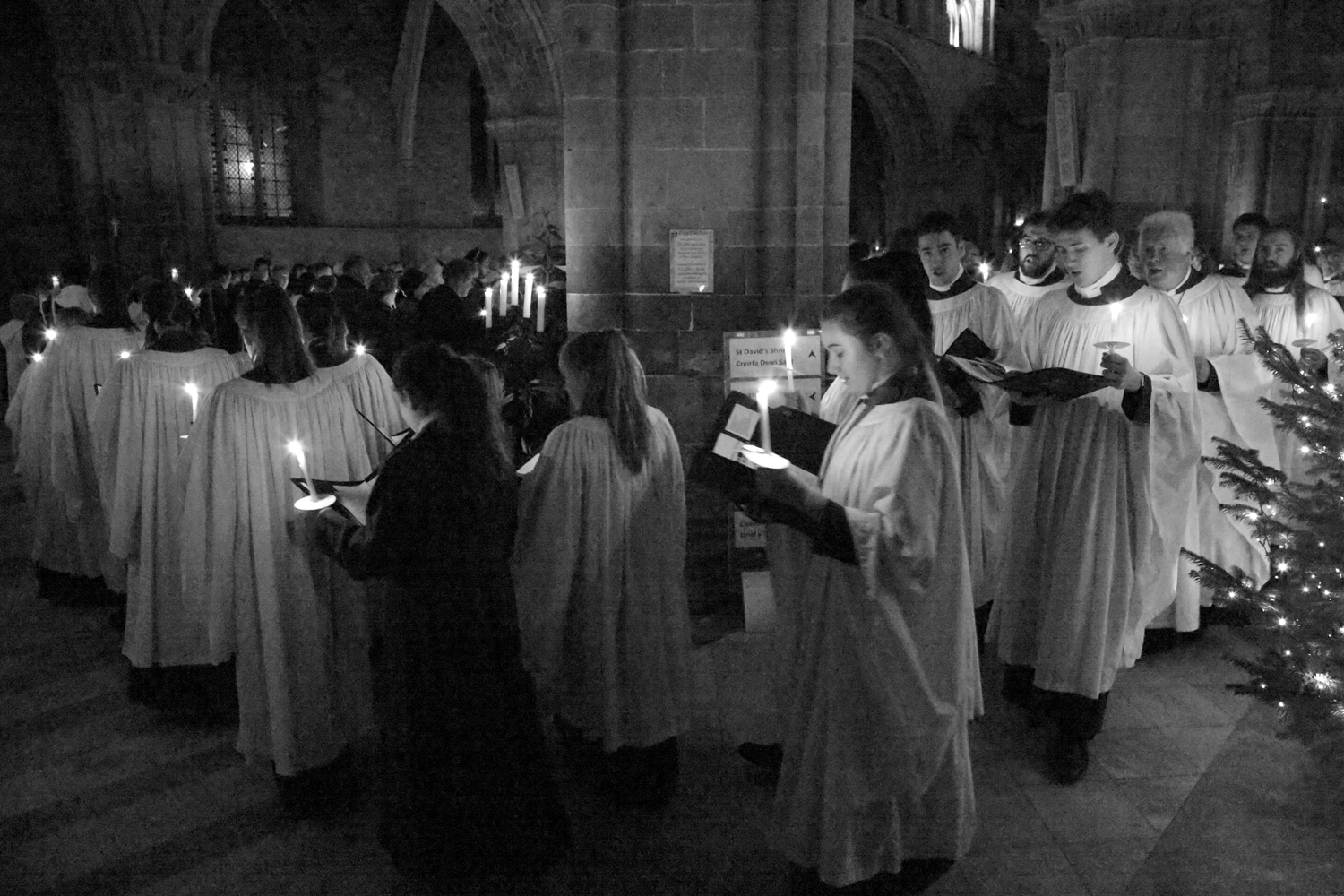 A Year in Pembrokeshire - Image 6