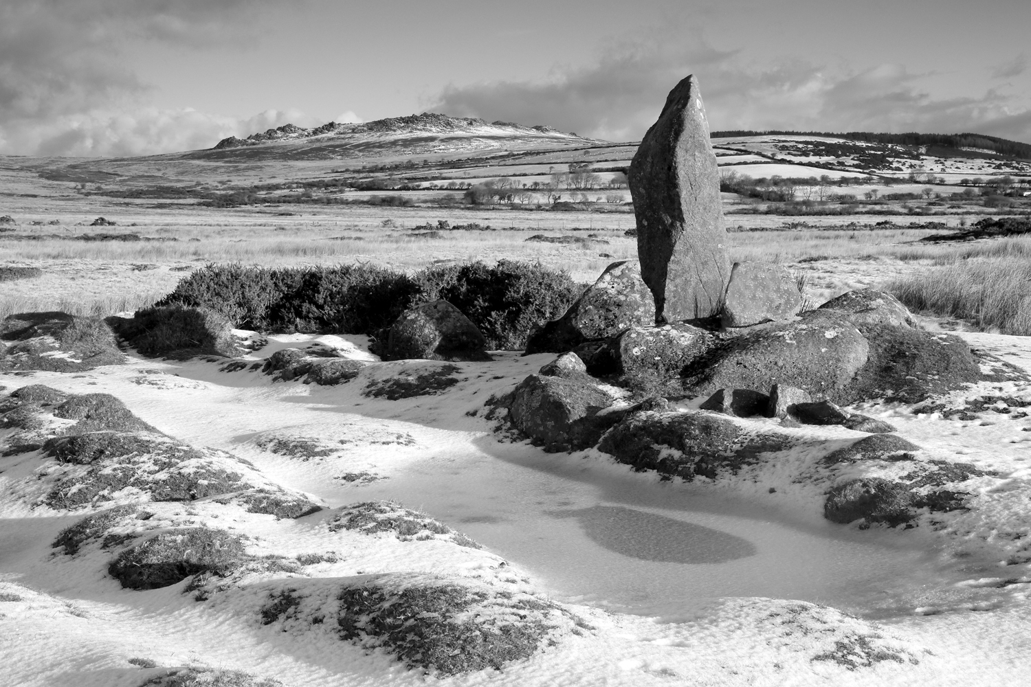 A Year in Pembrokeshire - Image 8