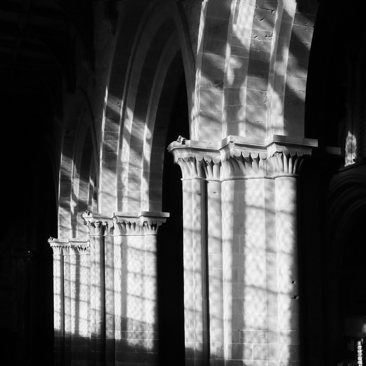 A Year in Pembrokeshire - Image 9