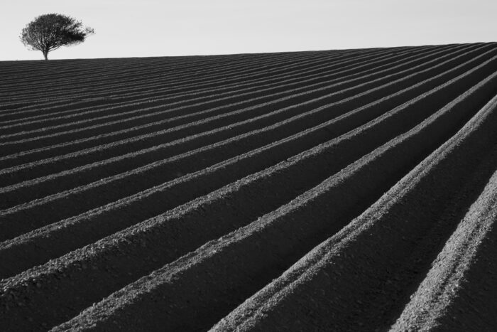 A ploughed field in Llangwm in Pembrokeshire