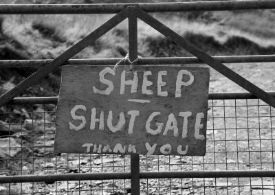 A polite request in Ceredigion