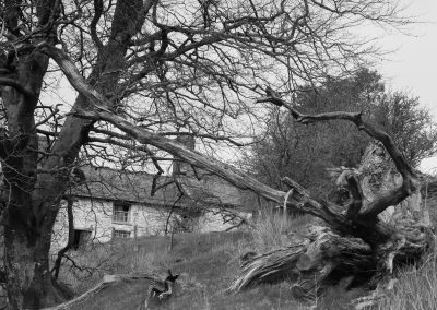 An abandoned farm in the Cambrian Mountains, Ceredigion
