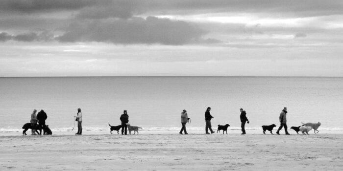 Dogs walkers on an empty beach in Gower, Wales